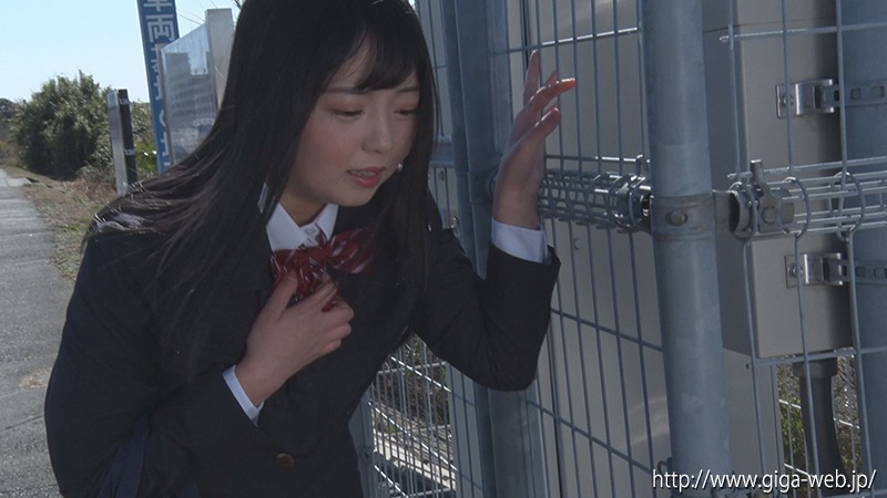 ヒロインハンター開発計画 美少女仮面オーロラ 聖なる戦士から生まれた悪魔、恐怖のオーロラハンター誕生！
