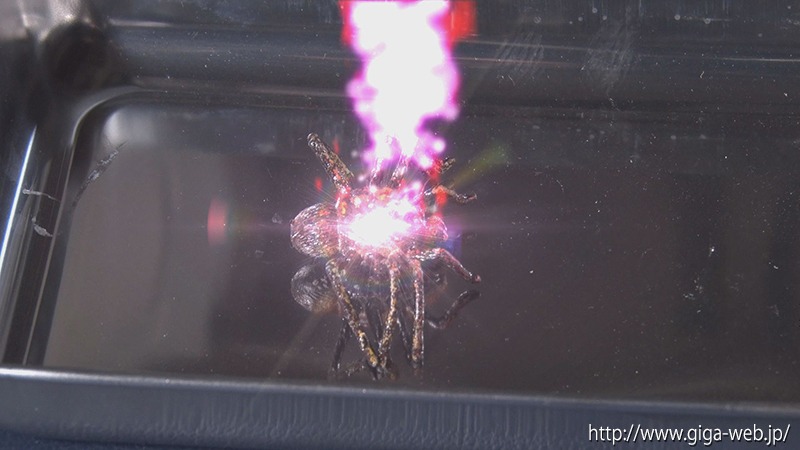 ヒロインハンター開発計画 美少女仮面オーロラ 聖なる戦士から生まれた悪魔、恐怖のオーロラハンター誕生！
